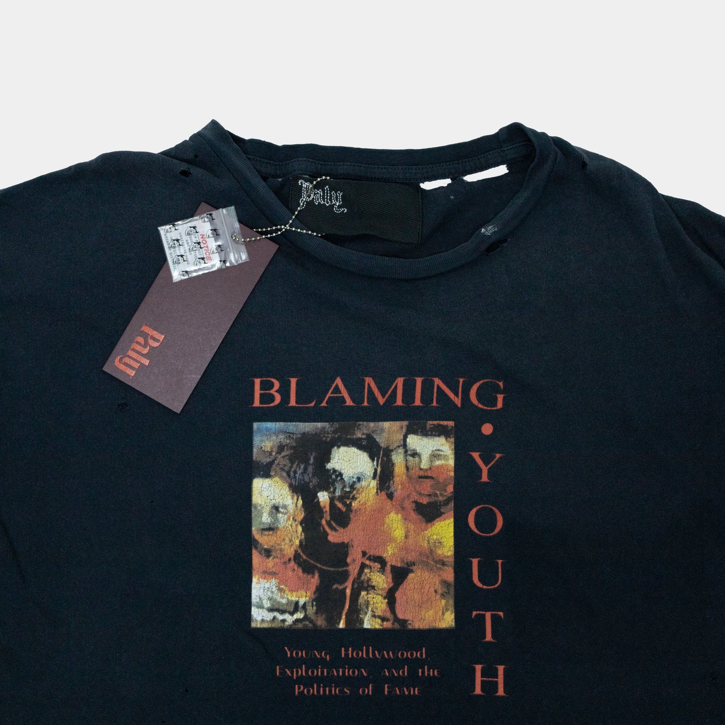 Paly Hollywood Blaming Youth T-Shirt