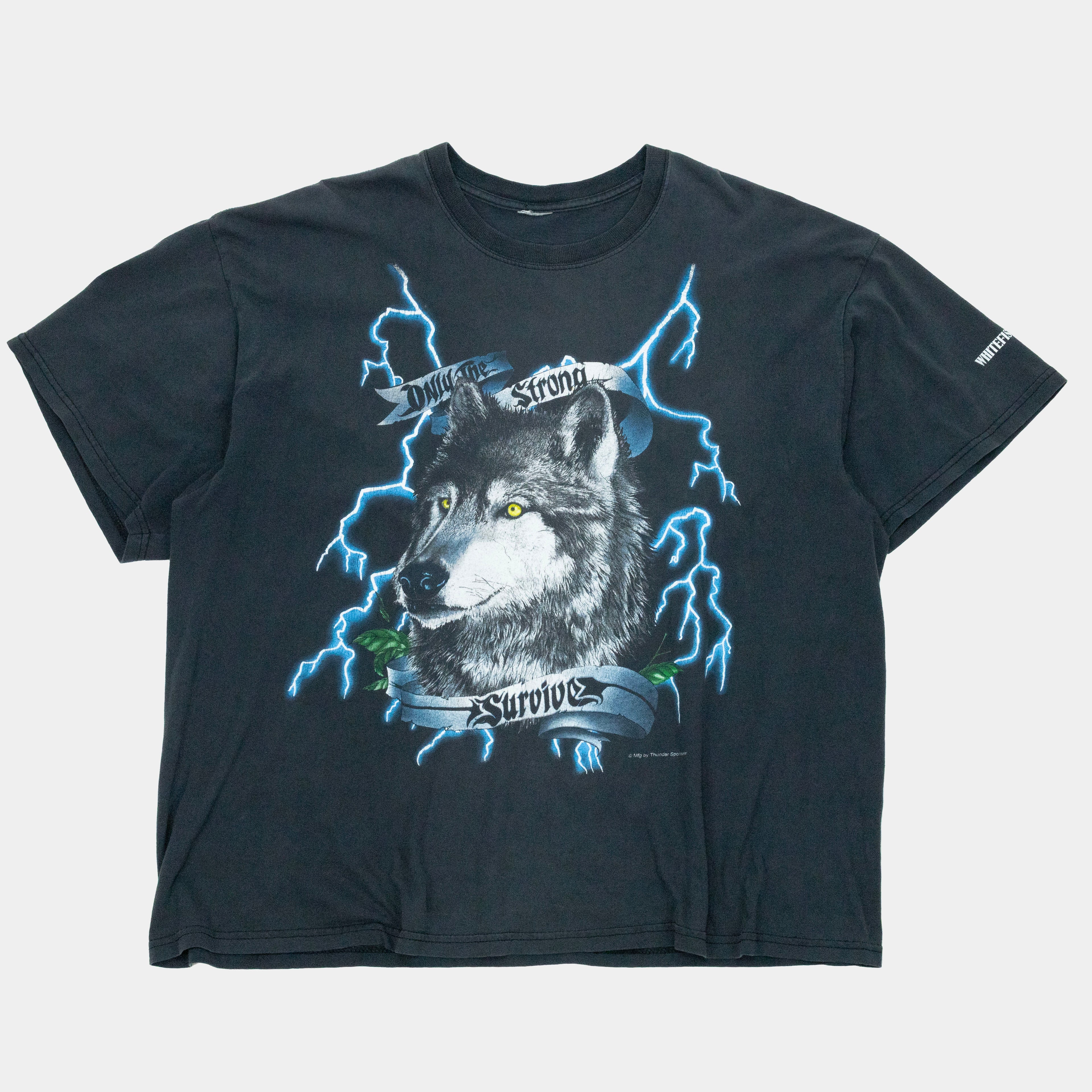 Vintage Thunder Eagle T-Shirt